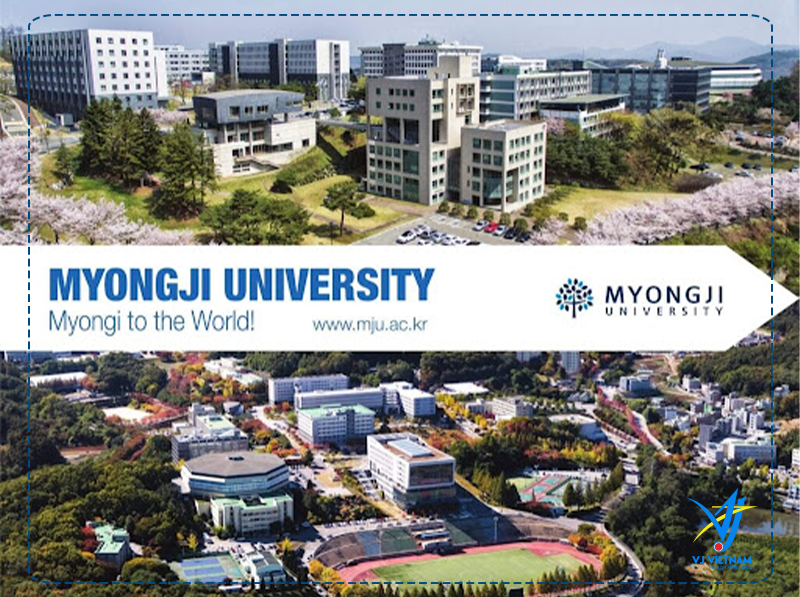 Myongji cung cấp nhiều khóa đào tạo với các cấp độ học tập khác nhau