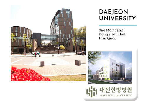 Daejeon luôn có những suất học bổng nhằm ghi nhận thành tích học tập xuất sắc của các bạn