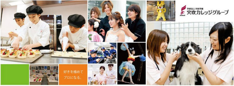 Anabuki có hệ thống trường đào tạo gồm 14 chuyên ngành