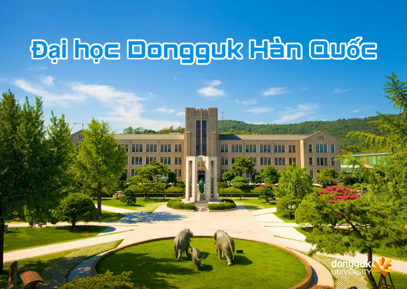 Đại học Dongguk nằm trong TOP 32 trường đại học tốt nhất Hàn Quốc