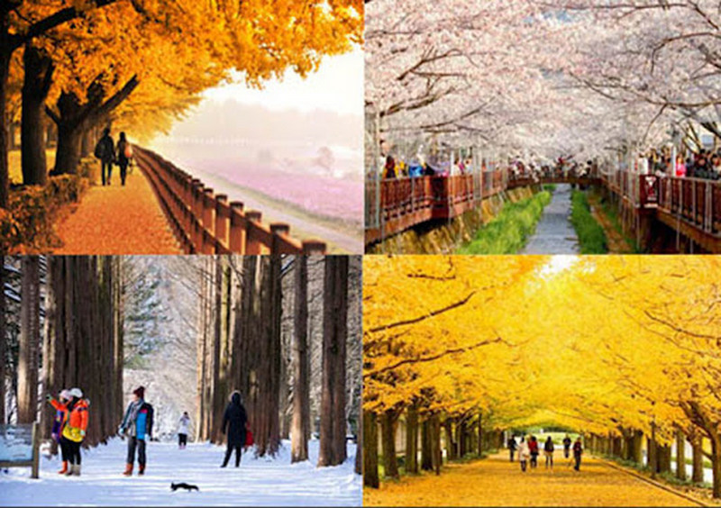 Phong cảnh 4 mùa tại Hàn Quốc