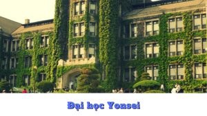 Đại học Yonsei