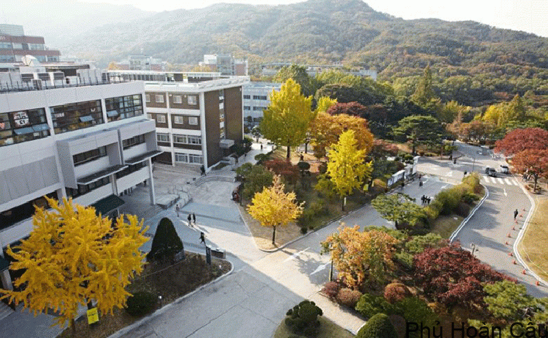 Ưu điểm du học Hàn Quốc trường top 1