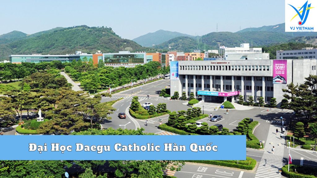 Đại Học Daegu Catholic Hàn Quốc – Chứng Nhận Học Phí Tốt Tại Daegu