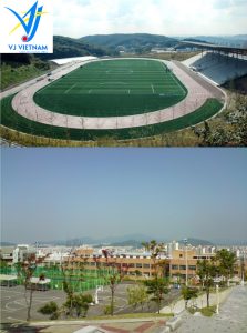 Sân vận động Đại học Dankook Hàn Quốc