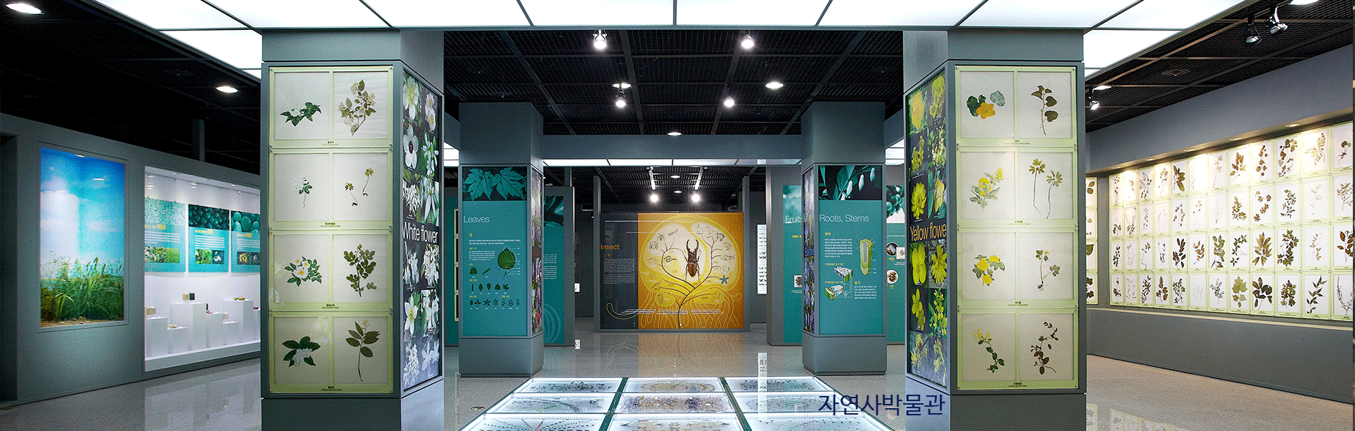 Viện bảo tàng đại học Sungshin