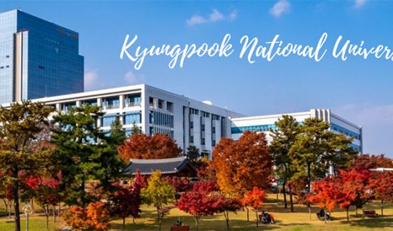 Tham quan trường đại học Kyungpook 