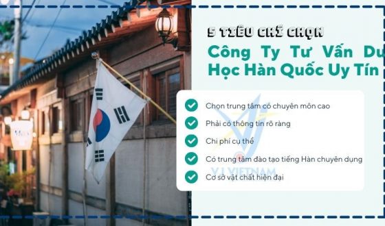 Kinh Nghiệm Chọn Đúng Công Ty Tư Vấn Du Học Hàn Quốc Uy Tín 