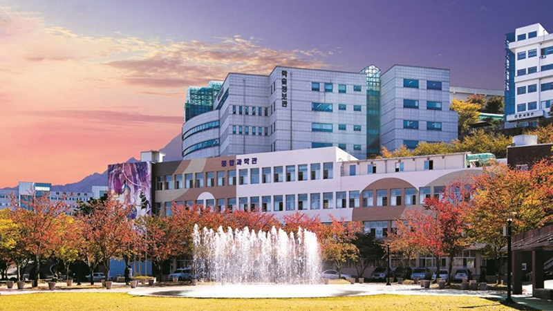 Daegu Hanny tọa lạc tại khu vực Daegu - thành phố lớn thứ 3 của Hàn Quốc