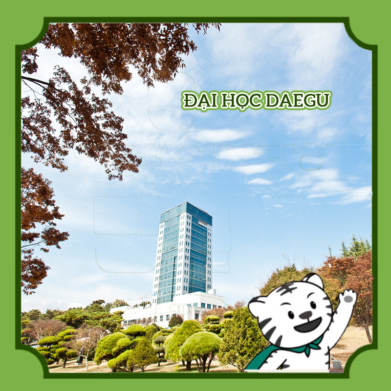 Đại Học Daegu - TOP 5 Trường Đại Học Lớn Nhất Hàn Quốc