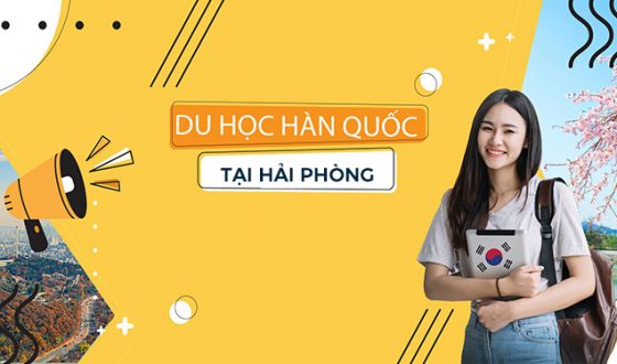 Kinh Nghiệm Chọn Trung Tâm Tư Vấn Du Học Hàn Quốc Tại Hải Phòng