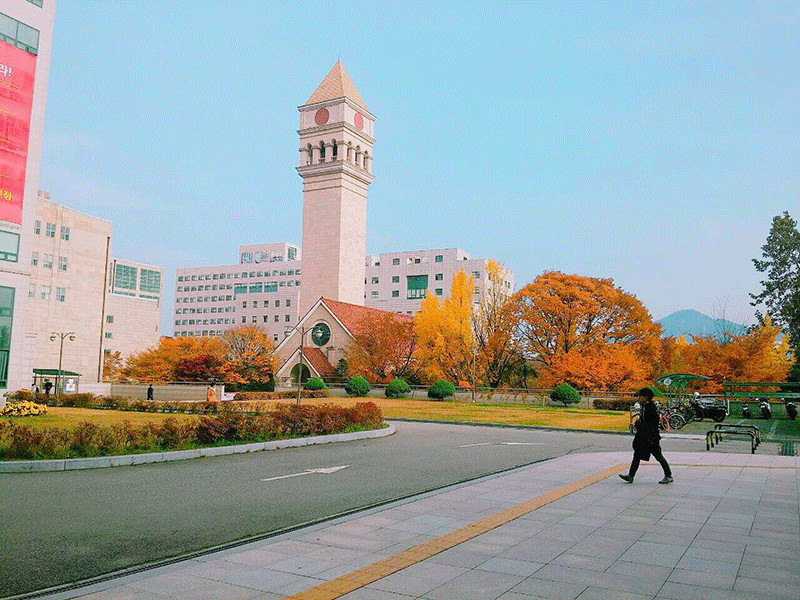Khuôn viên trường đại học Sejong vào mùa thu 