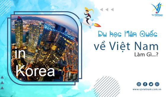 DHS Đi Du Học Hàn Quốc Về Việt Nam Làm Gì?