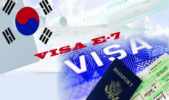 VISA E7 Là Gì? VISA E7 Dành Cho Đối Tượng Du Học Hàn Quốc Nào?