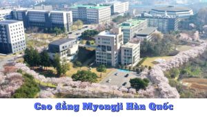Cao đẳng Myongji Hàn Quốc