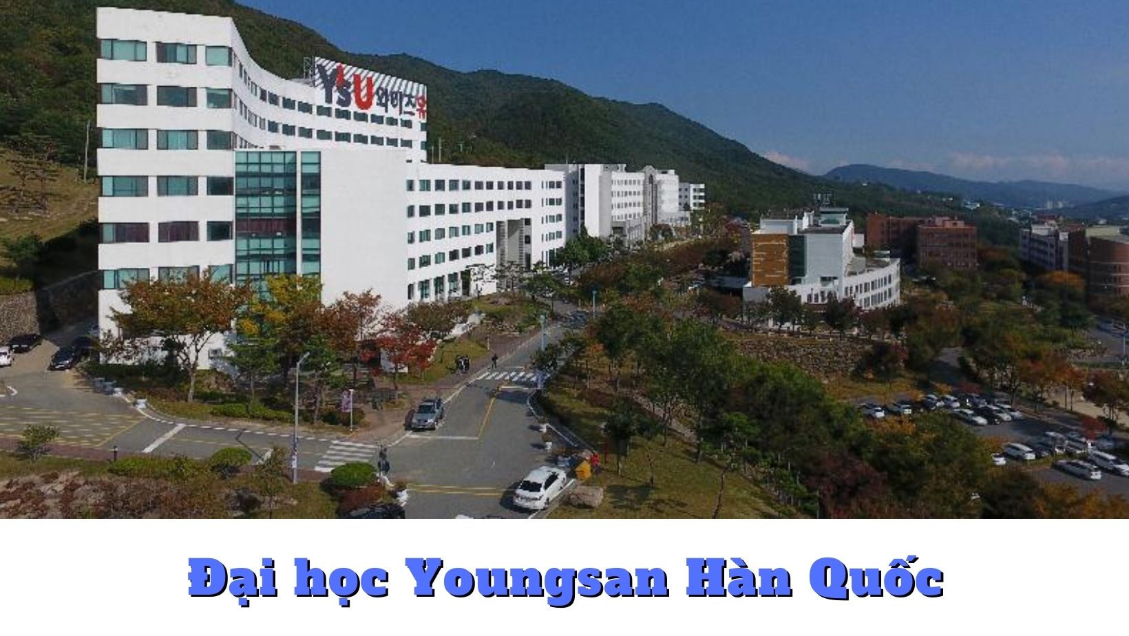 Đại học Youngsan Hàn Quốc