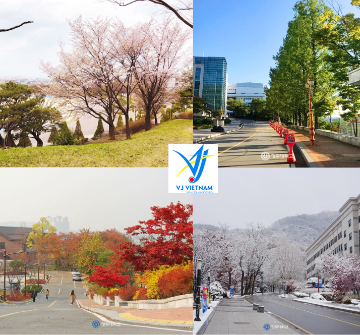 Đại học Cheongju Hàn Quốc 4 mùa