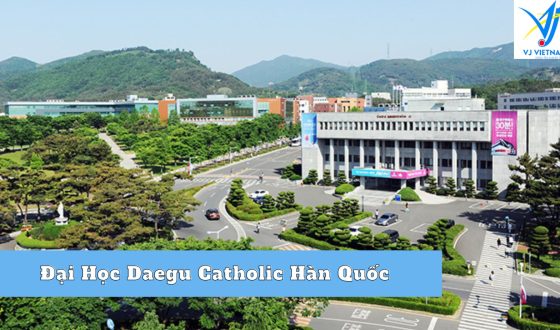 Đại Học Daegu Catholic Hàn Quốc – Chứng Nhận Học Phí Tốt Tại Daegu