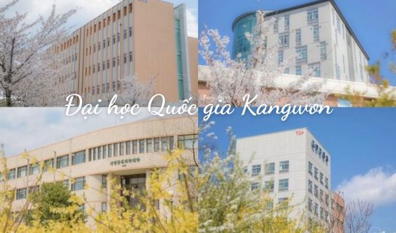 Đại học Quốc gia Kangwon học phí cực thấp, bạn đã biết?