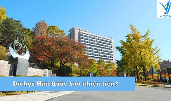 Du học Hàn Quốc bao nhiêu tiền?