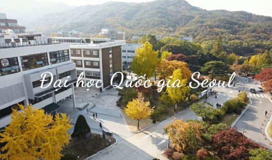 Đại học Quốc gia Seoul Hàn Quốc #1 TOP SKY