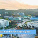 Đại Học Pai Chai Hàn Quốc –  Biểu Tượng Giáo Dục Của Daejeon