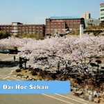 Du học Hàn Quốc đại học Sehan