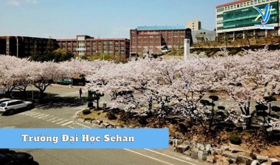 Du học Hàn Quốc đại học Sehan