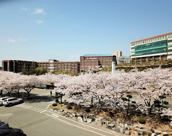 Du học Hàn Quốc đại học Sehan 