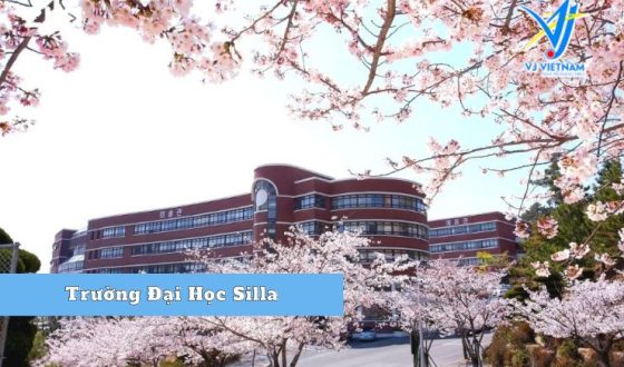 Đại Học Silla – TOP 10 trường đào tạo tiếng Hàn hàng đầu Hàn Quốc 