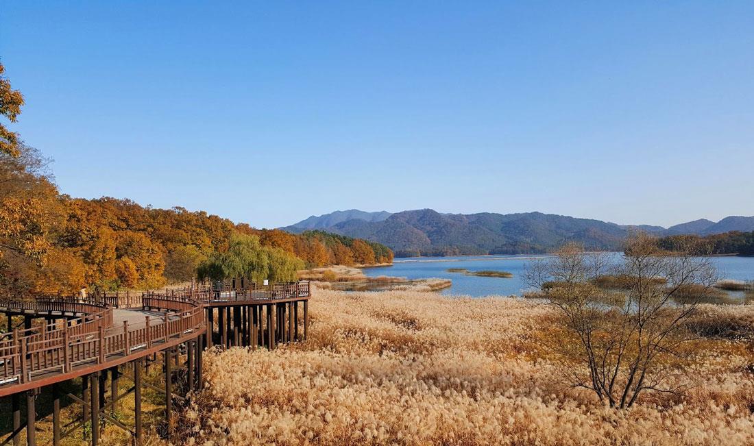 Hồ Daecheongho