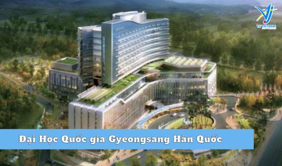 Đại Học Quốc gia Gyeongsang Hàn Quốc –  Nơi khởi điểm cho nền công nghiệp Hàn Quốc