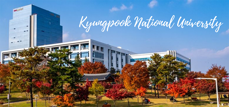 Đại học Quốc gia Kyungpook - 경북대학교