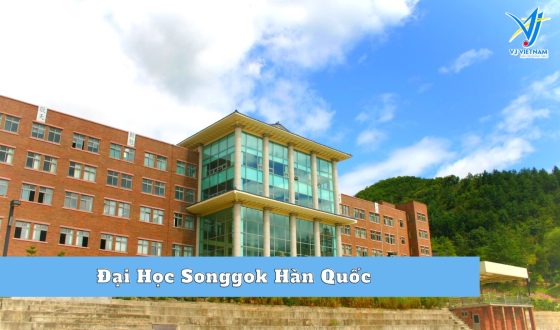 Đại Học Songgok Hàn Quốc – Đại học tư thục hàng đầu tại Gangwon
