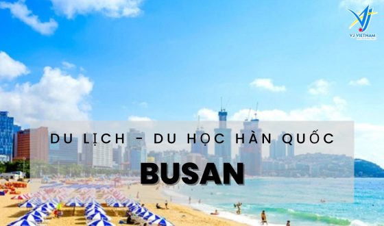 Du lịch Busan – Thành phố số 2 Hàn Quốc có đáng thử? 