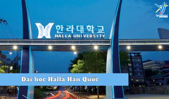 Tuyển sinh đại học Halla Hàn Quốc 2024