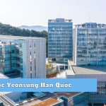 Đại Học Yeonsung Hàn Quốc - Đại học tổng hợp uy tín hàng đầu Anyang