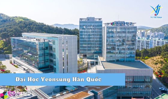 Đại Học Yeonsung Hàn Quốc – Đại học tổng hợp uy tín hàng đầu Anyang