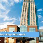 Đại học Kaya Hàn Quốc - Trường uy tín, chất lượng