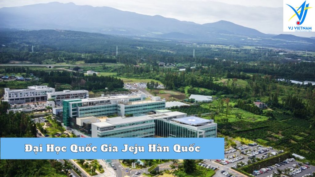 Trường đại học quốc gia Jeju – Trường quốc gia nổi tiếng nhất tại Jeju