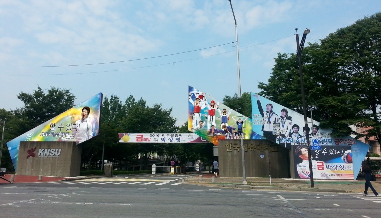 Lễ hội 한국체육대학교