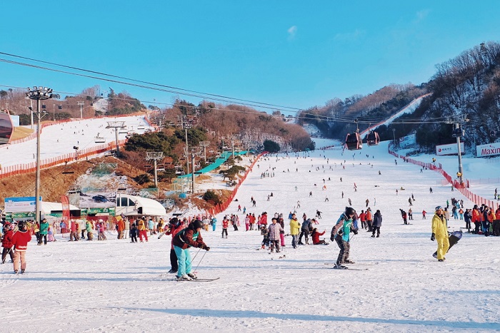 Khu trượt tuyết – địa điểm du lịch Gangwon vui, hấp dẫn