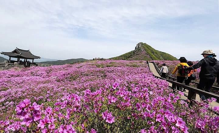 Núi Hwangmaesan