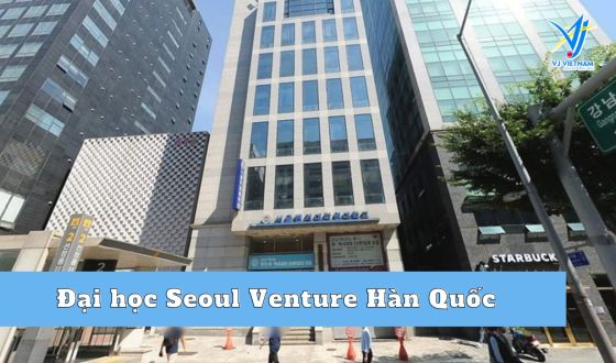 Đại học Seoul Venture Hàn Quốc