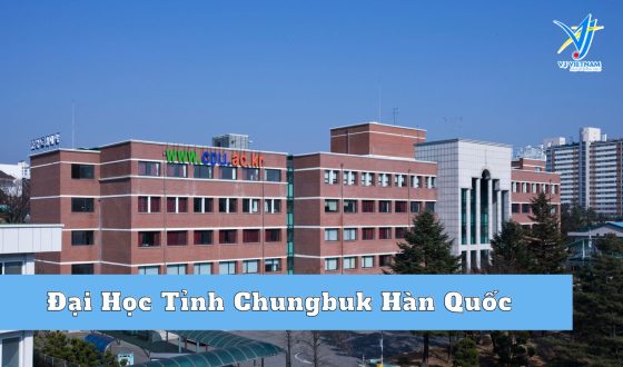 Đại Học Tỉnh Chungbuk Hàn Quốc – Điểm đến du học Hàn Quốc chi phí thấp dành cho bạ