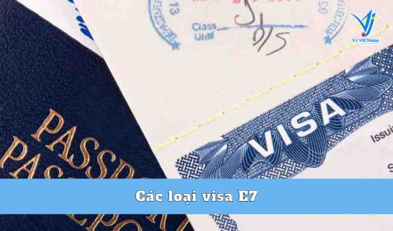 Các loại visa E7 và 86 mã ngành bạn cần biết