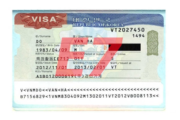 Danh sách các loại ngành nghề visa E7 Hàn Quốc