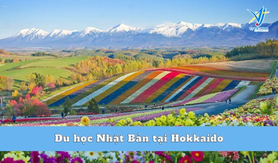 Du học Nhật Bản tại Hokkaido – Cực Bắc Của Đất Nước Mặt Trời Mọc