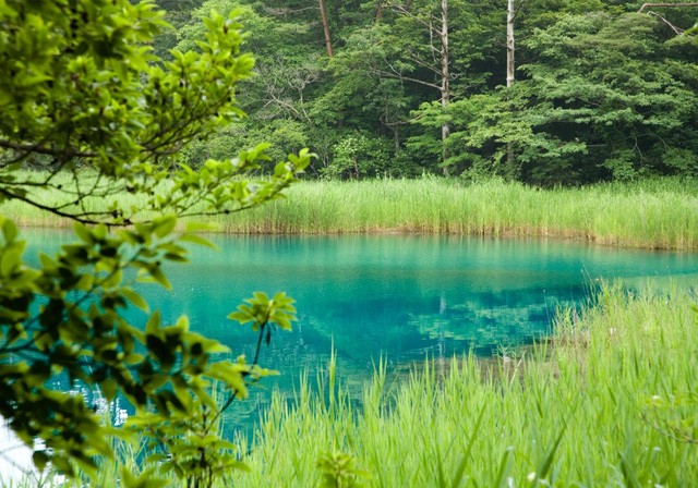 Hồ Nước Xanh Goshiki-numa