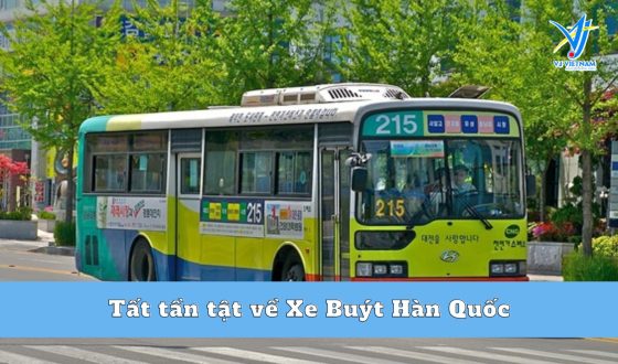 Tất tần tật về Xe Buýt Hàn Quốc